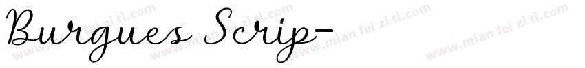 Burgues Scrip字体转换
